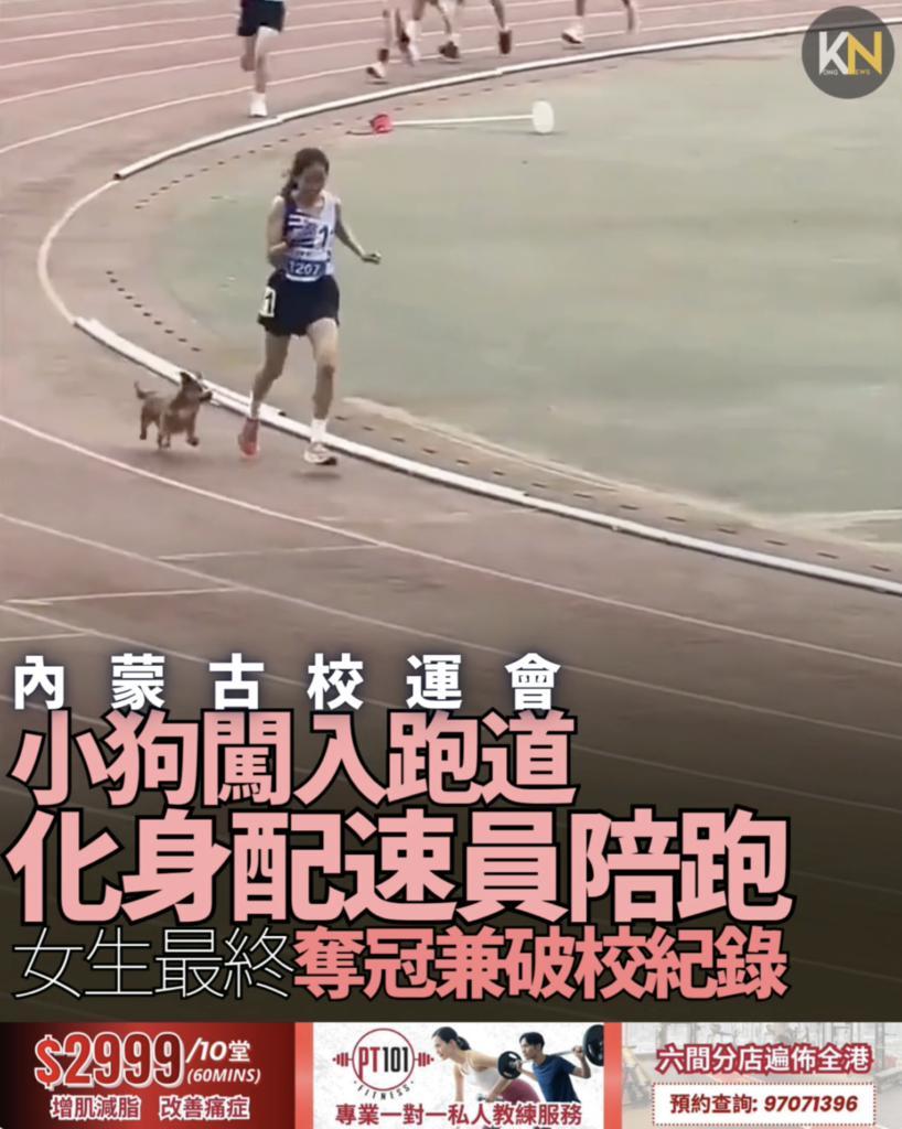 內蒙古校運會小狗闖入跑道化身配速員陪跑 女生最終奪冠兼破校紀錄