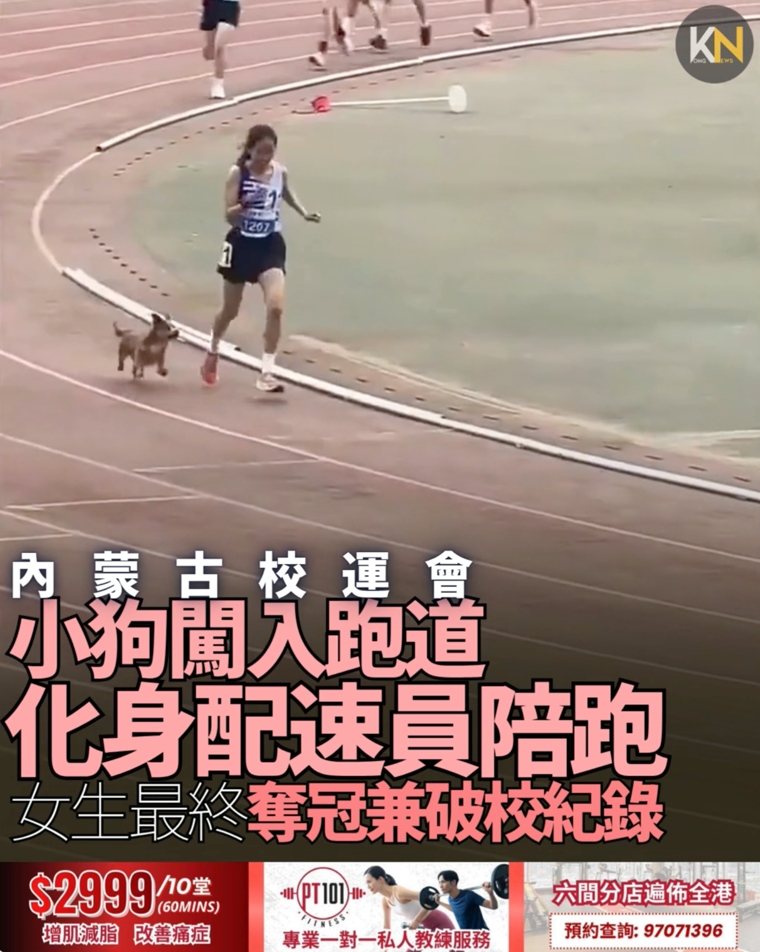 內蒙古校運會小狗闖入跑道化身配速員陪跑 女生最終奪冠兼破校紀錄