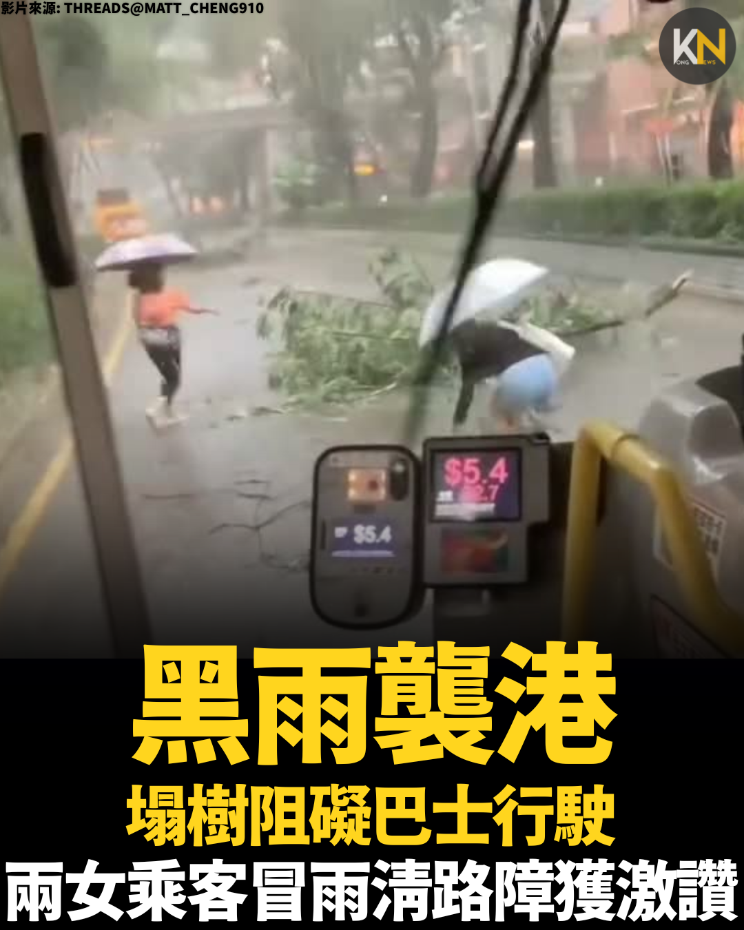 黑雨襲港 塌樹阻礙巴士行駛 兩女乘客冒雨清路障獲激讚